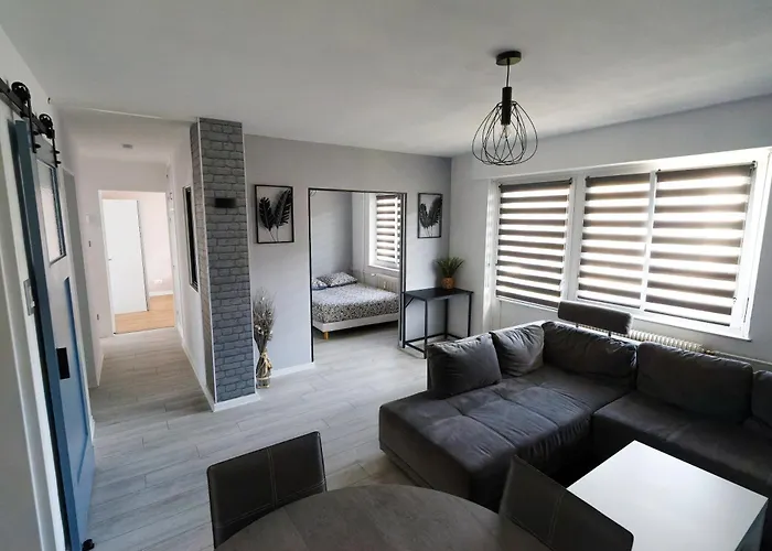Agreable Et Spacieux Appartement Lumineux T4 Alsace